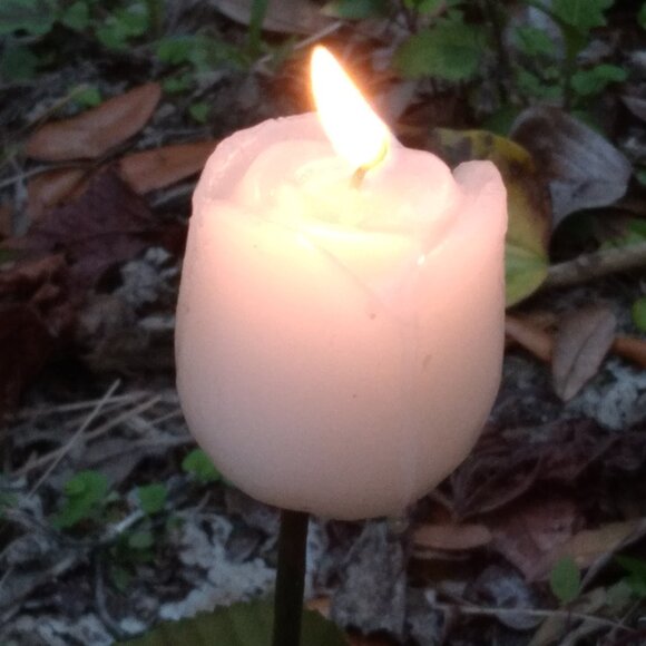 Meet your Posher, Pat - Picture 1 of 1